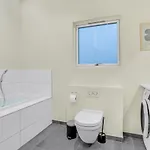 In With Wifi בית נופש Sjolund